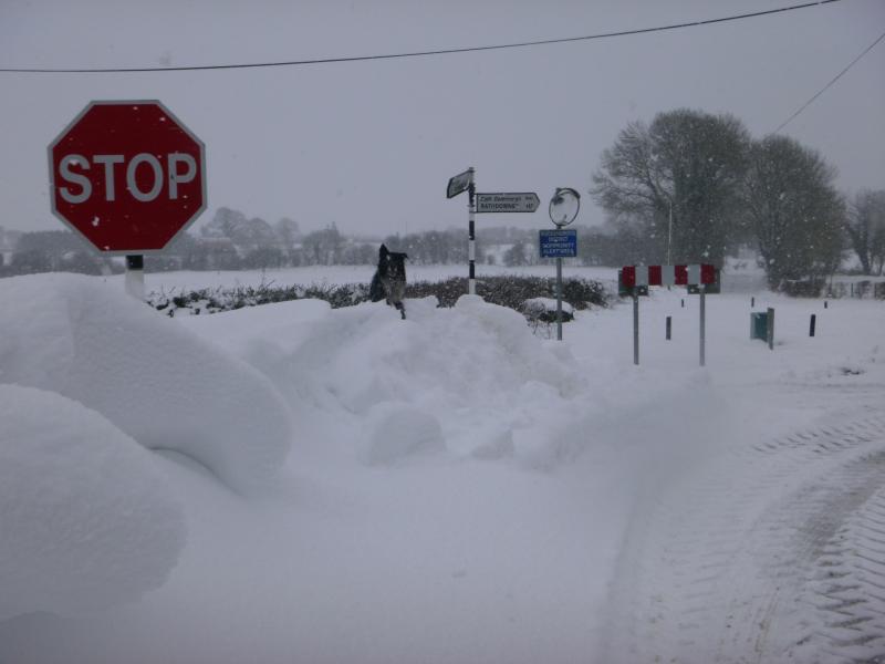 snow snow Met Éireann