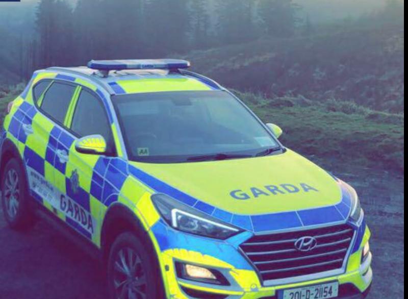 garda slieve blooms