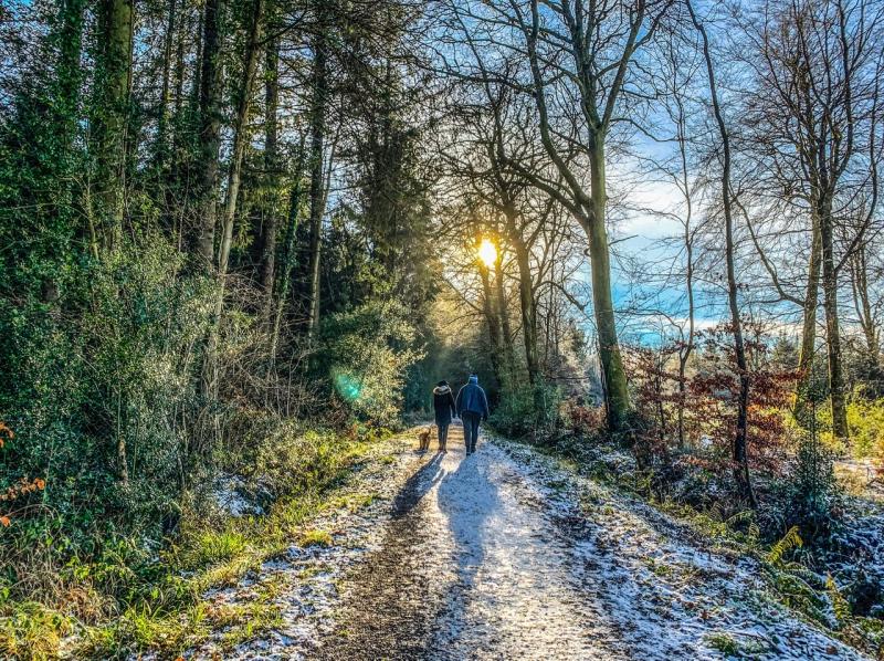 New footpath from Portlaoise to woodlands 'discovered' in Covid pandemic