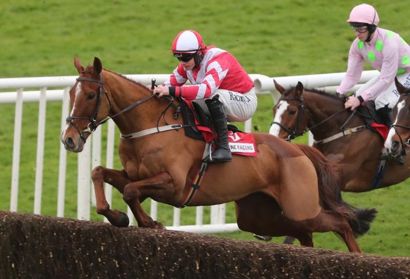 Mullins' Acapella Bourgeois heads the weights for the Goffs Thyestes Handicap Chase later this month