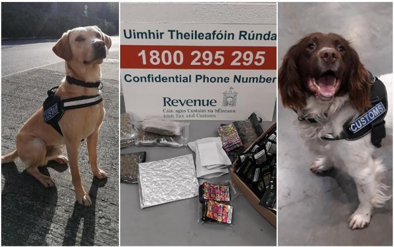 Detector dogs Bailey and Sam sniff out over €30,000 worth of drugs destined for five counties