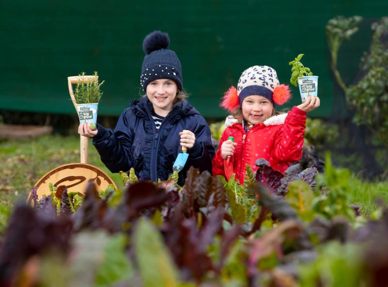 The Big Grow 2021: Registration for free food growing kits now open to Laois primary school teachers