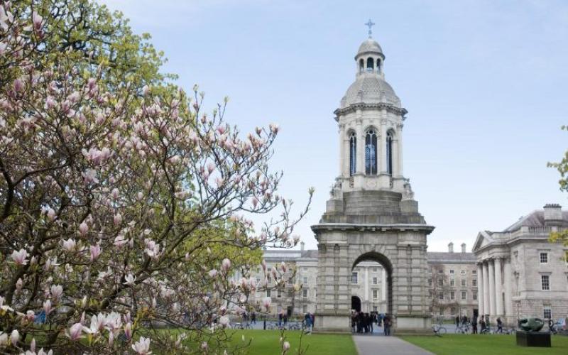 Five Laois students win Trinity College entrance scholarships