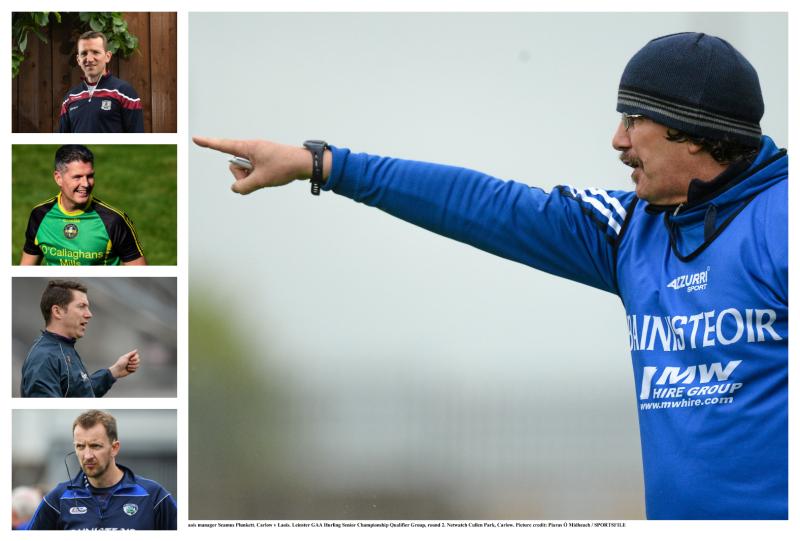 All-Ireland pedigree coaches on Cheddar's Laois GAA senior hurling ticket