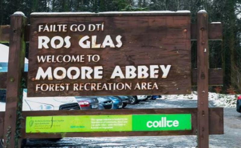 Call for CCTV and more signage at Moore Abbey woods 
