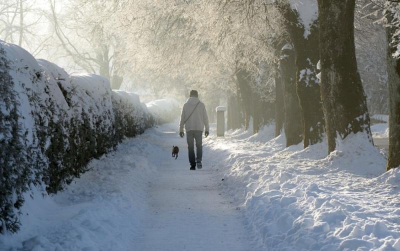 Snow Ready: 10 tips to avoid slips, trips and falls in ice and snow 