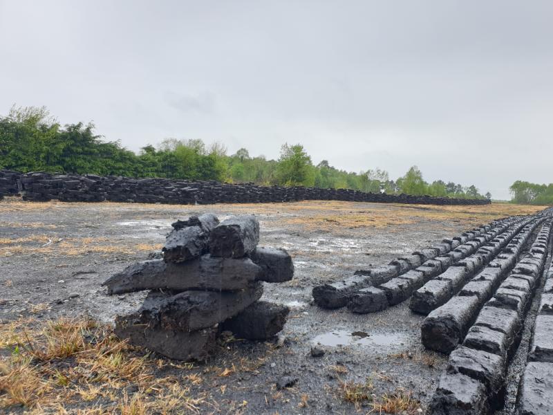 Barry Cowen supports an end to the sale of turf on a 'gradual' basis 