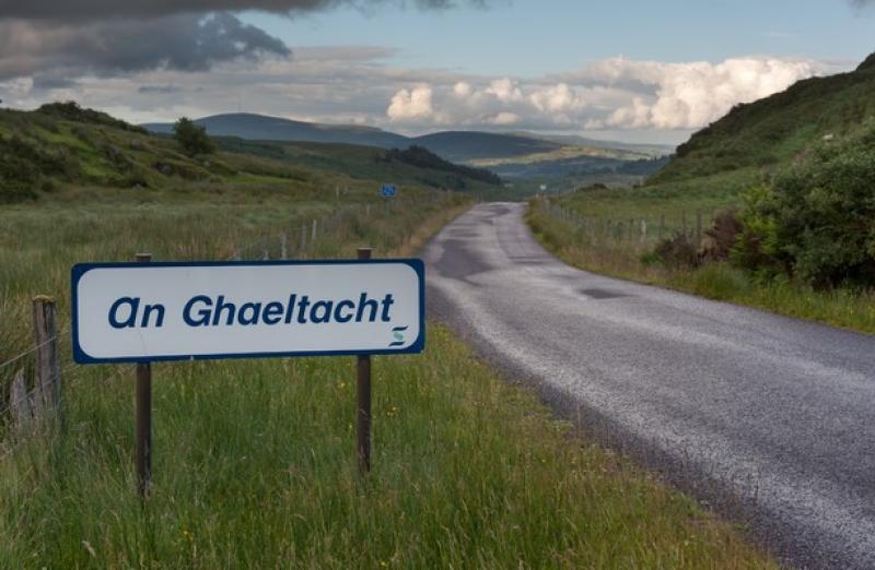 'I want to speak more Irish' - Further Education Minister plans to take language classes