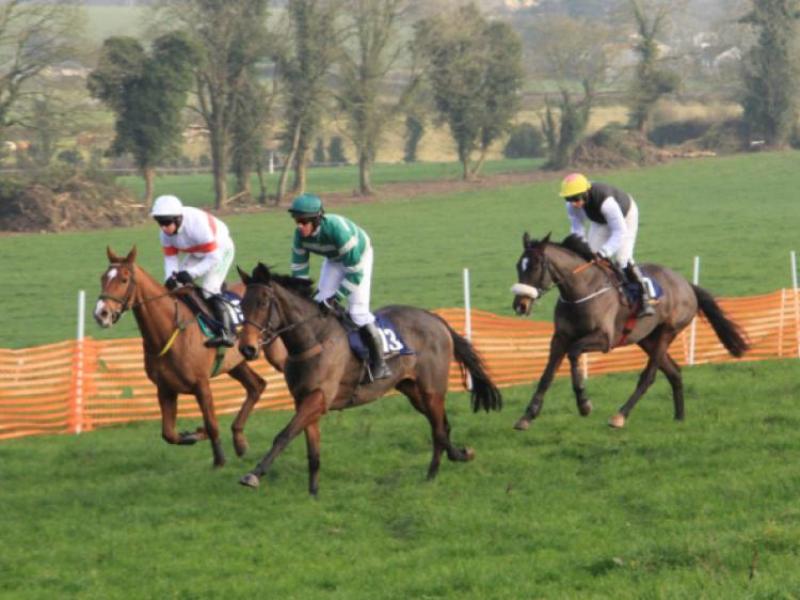 Horse Racing Ireland announce five additional meetings to meet Point-to-Point demand