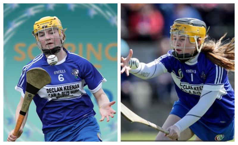 Laois  'Soaring Stars'  winners at Camogie Awards are the pride of Laois
