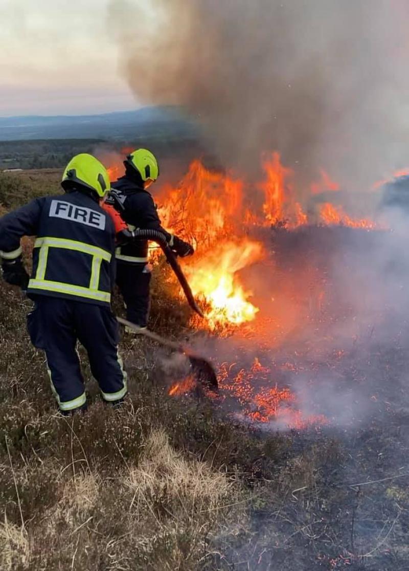 Government Ministers condemn illegal wildfire in Slieve Blooms