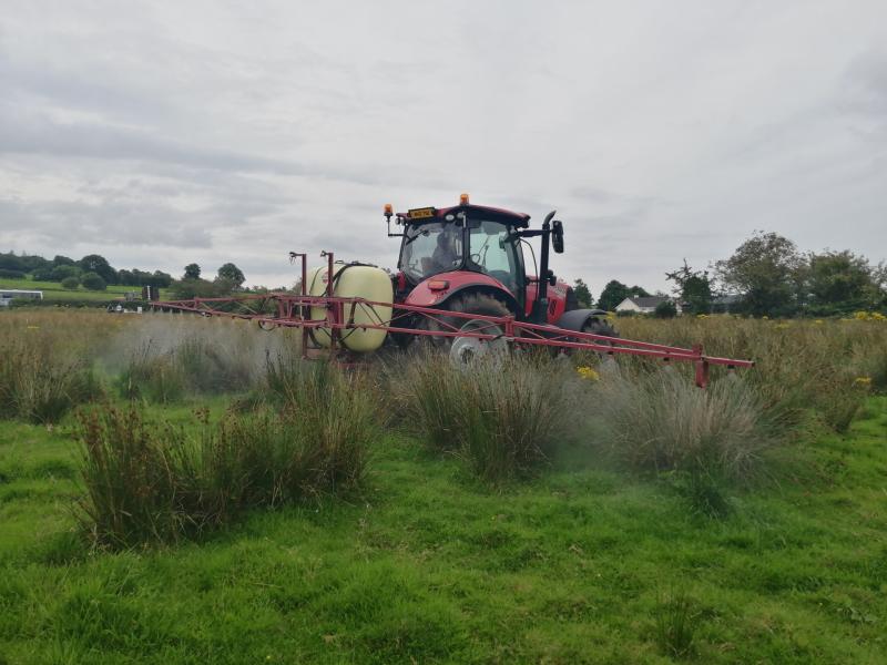 Farmers, garders and groundskeepers urged to cut back on pest poison use in Laois