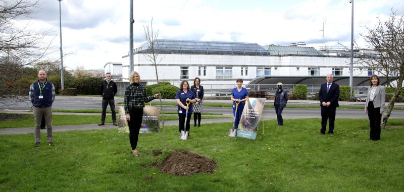 Nurse a tree takes root at Portlaoise hospital
