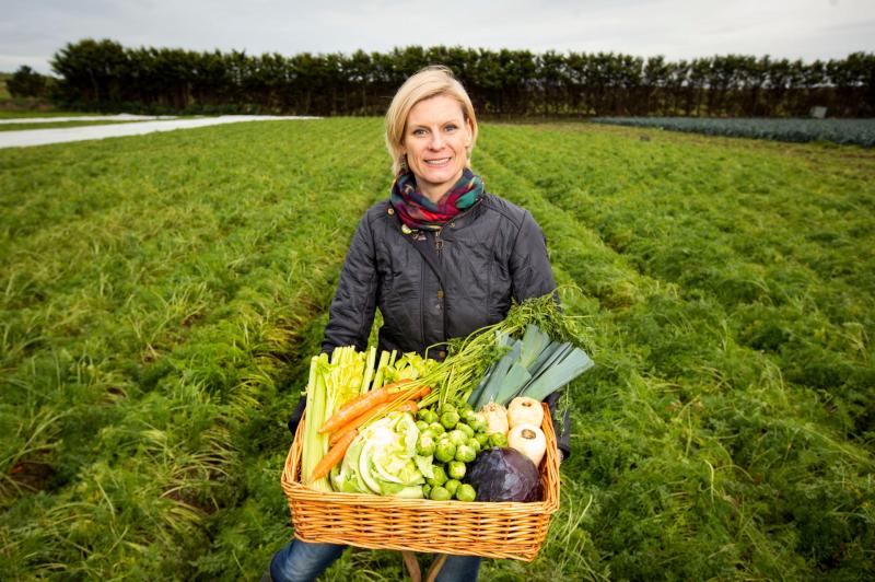 Laois Offaly Minister says there's jobs in Green economy