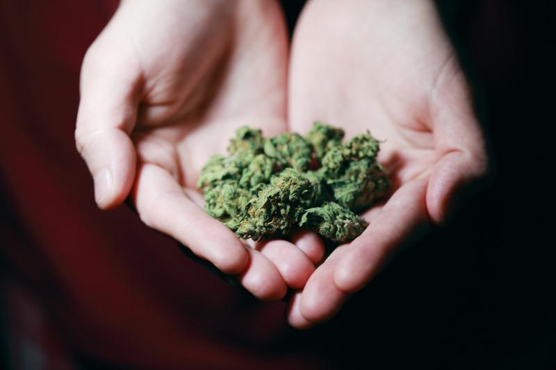 Cannabis is ‘gravest threat to young Irish people’s mental health’, warns College of Psychiatrists Ireland