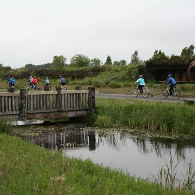 Lough Boora bike hire contract raised in Leinster House as petition to reverse decision passes 15,000 signatures
