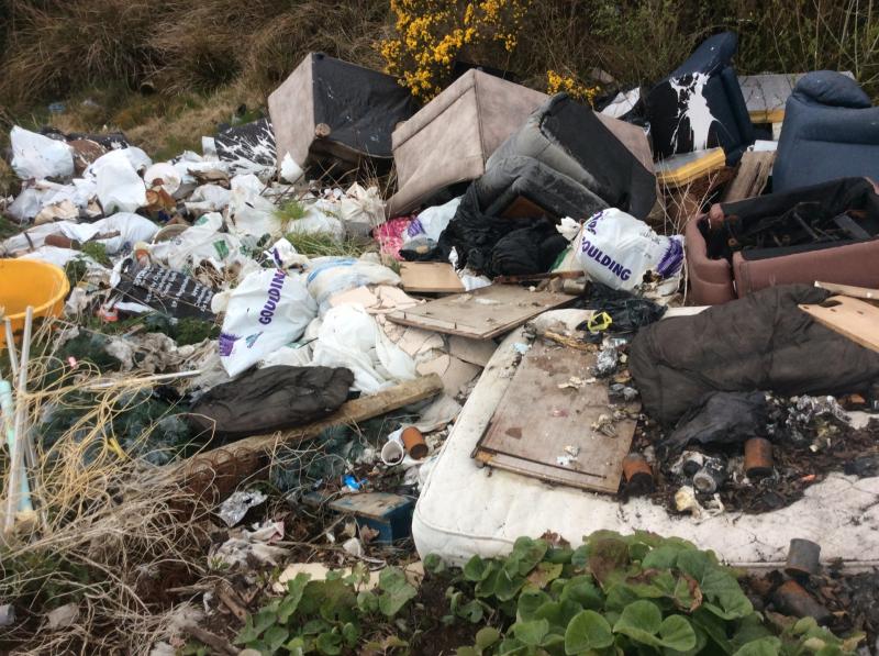 Adult nappies dumped as Laois litter hits record high