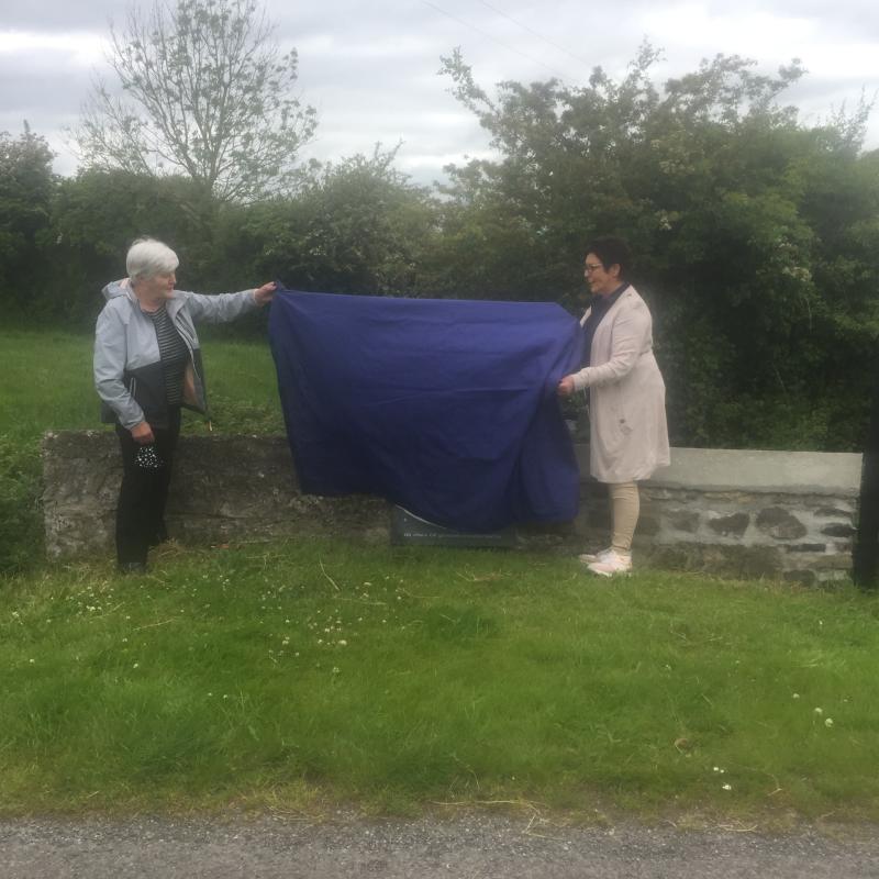 Laois offaly