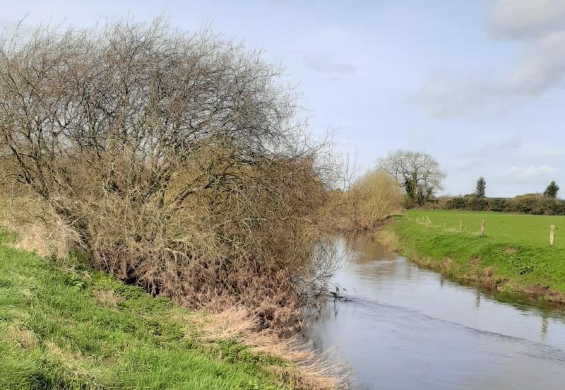 Potential for Laois riverside walk to be explored