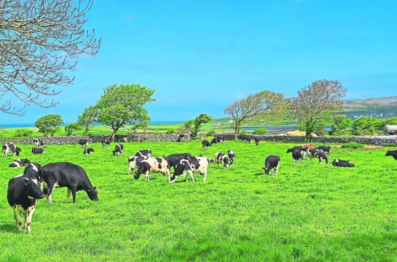 Laois farmers to hold rally on Friday morning in IFA campaign  on the value of farming 