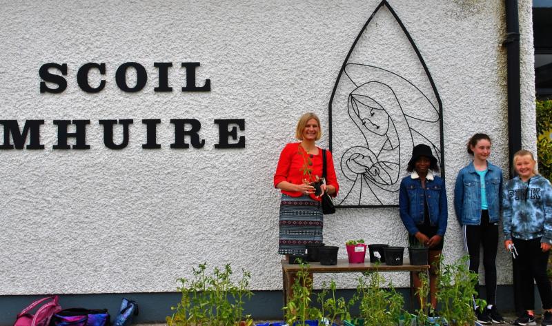 Children refuse to use smelly toilet at 'truly dreadful' Laois school