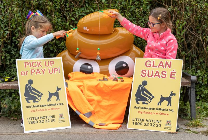 Laois dog fouling owners escape fines over lack of evidence