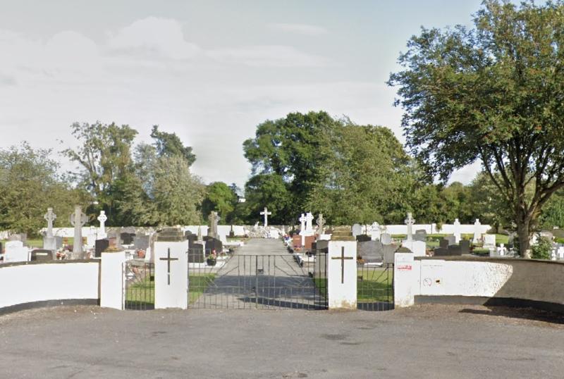 Dead dog dumped to rot beside Laois cemetery