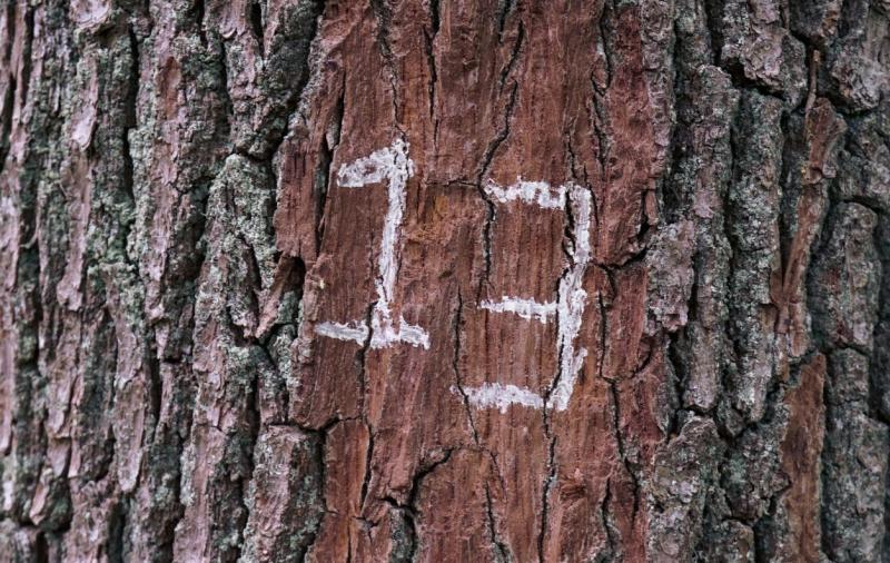 Explainer: Why is Friday the 13th considered to be so unlucky?