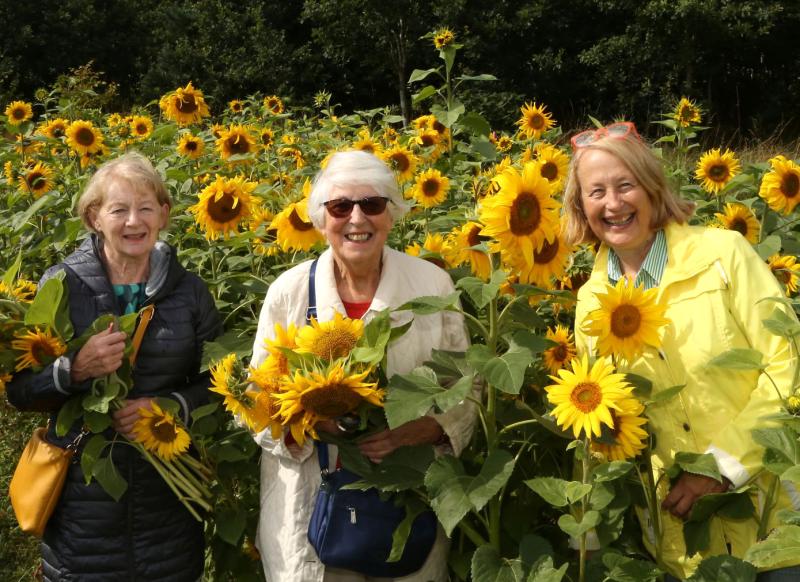 What's on this Sunday in Laois for Heritage Week