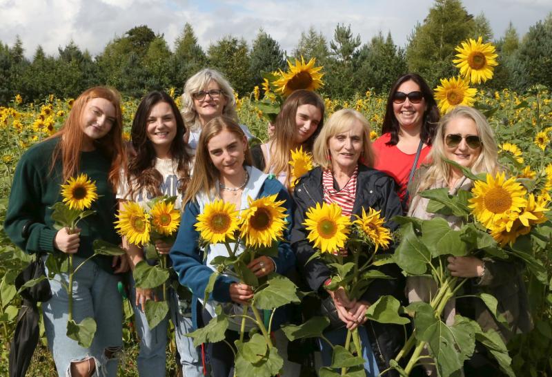 'Massive success' as thousands raised at sunflower charity day in Laois