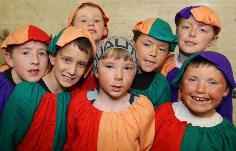 Rathdowney Pantomime returns after Covid-19 postponements 