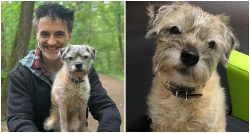 Irish supervet heartbroken over loss of 'beloved companion' Keira 