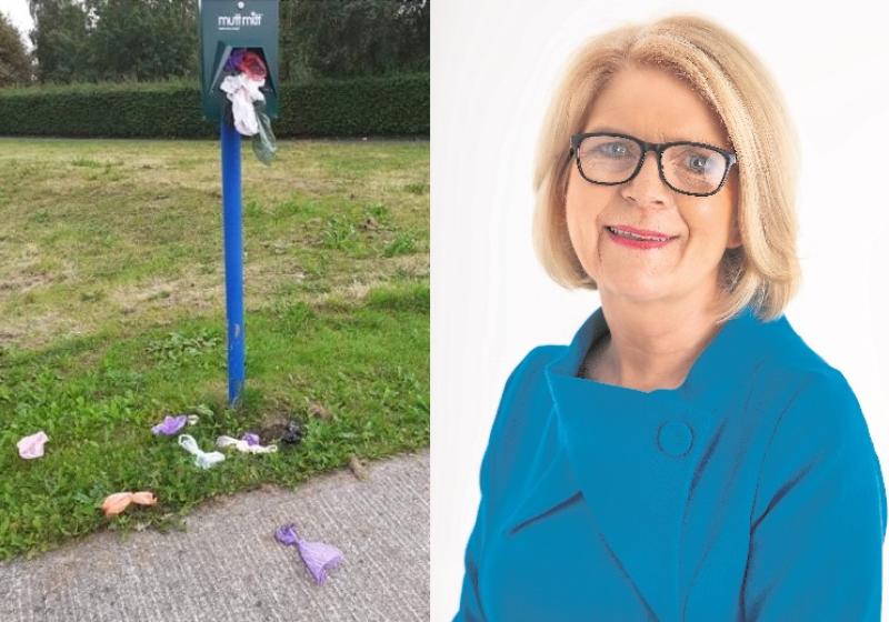 Laois councillor demands dog waste bins after dumping at bag dispensers