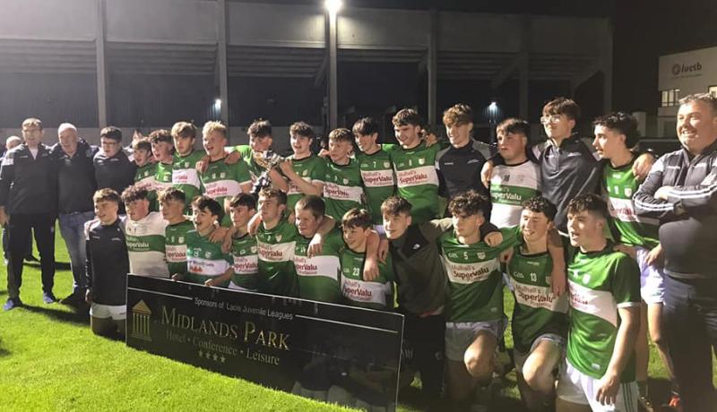 Kelly and Culliton strike for late goals to crown Na Fianna Minor ‘B’ hurling champs
