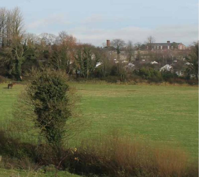 No new sports hall included in Portlaoise land masterplan 