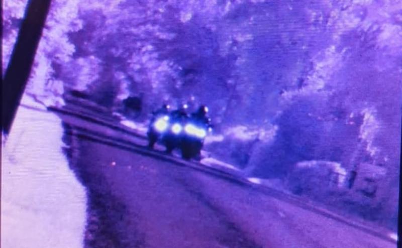 Gardaí laois offaly