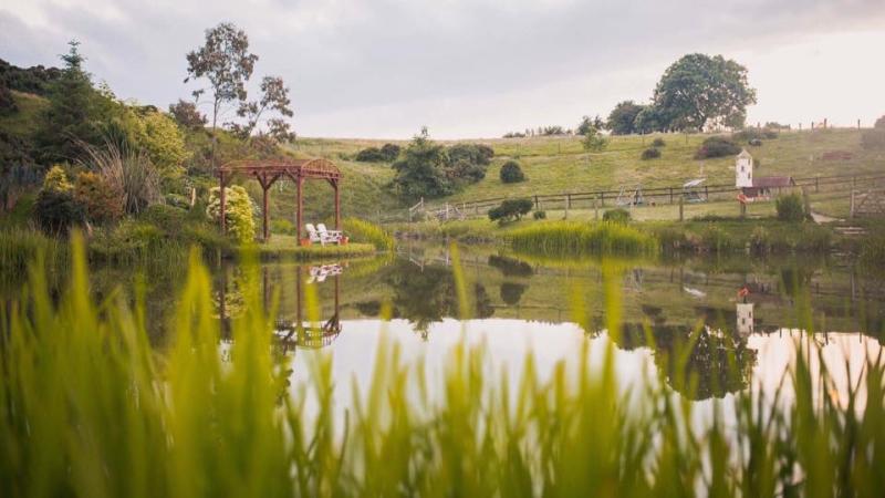 Hidden Laois paradise invites public to plant 2,000 trees for new public amenity