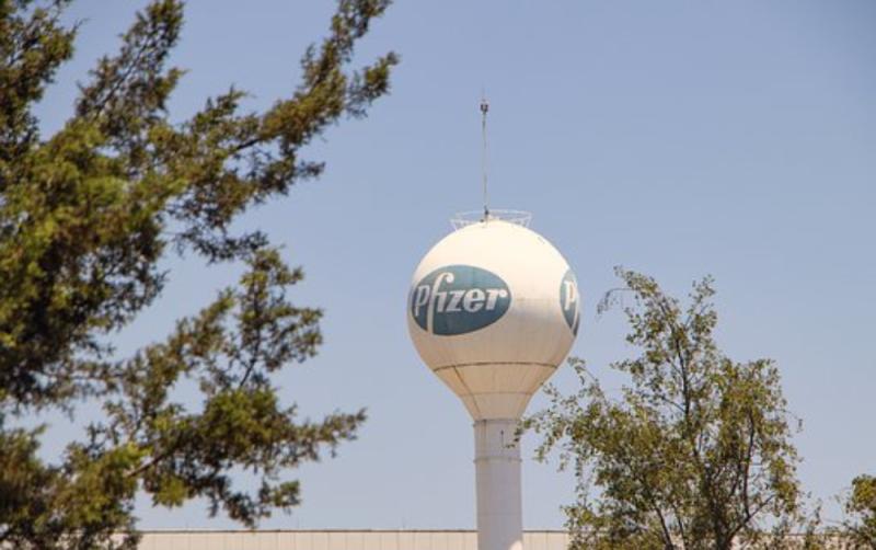 Covid-19 pill can reduce the risk of hospitalization or death by 89%, says Pfizer