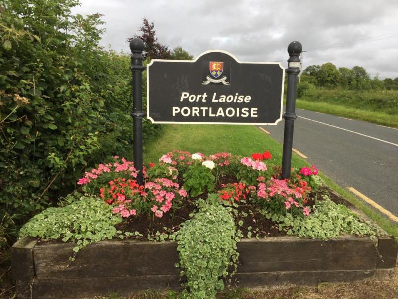 Portlaoise Tidy Towns want Garda action on e-scooter and bicycle misuse