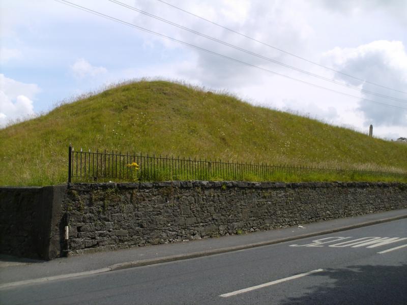 Condition of Burial Ridge in Portlaoise is 'disrespectful' 