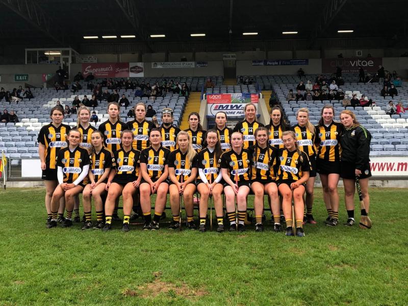 Camross hold off brave St Brigid's to claim Intermediate Camogie crown