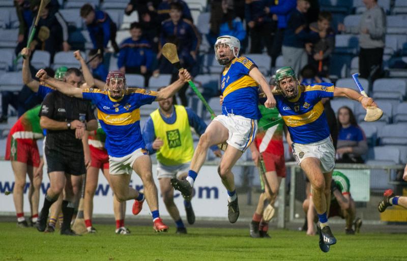 Laois senior hurling champions be feature live on RTE this Saturday