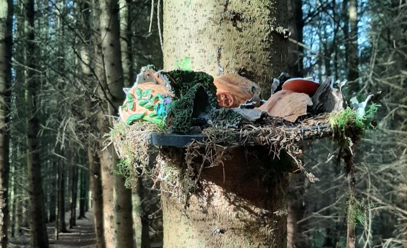 Fundraiser walk to replace vandalised Laois fairy woodland trails 