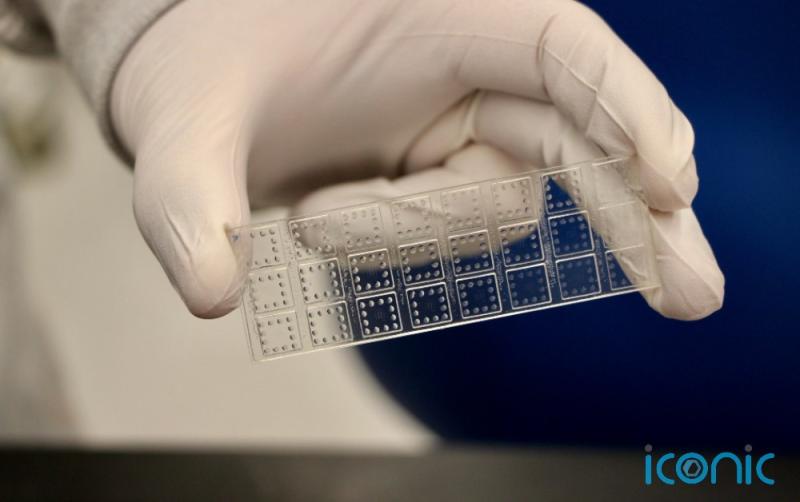 Researchers create rapid test that can identify antibody effectiveness against Covid-19 variants