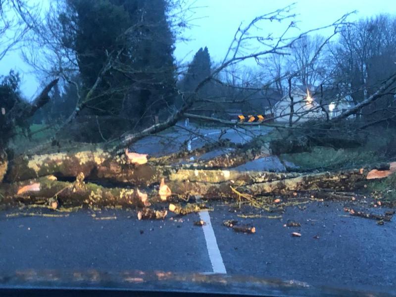 Storm Barra hasn't gone away you know - Laois in latest Met Éireann weather alert