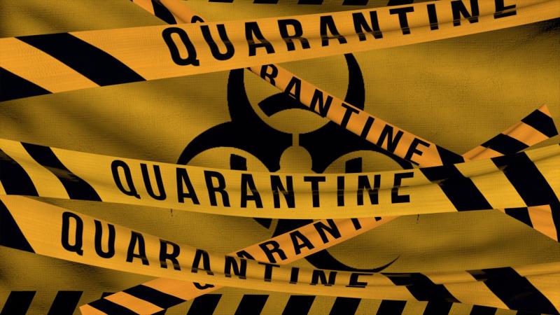 Asylum seekers who used fake passports to enter Ireland 'free to leave' quarantine hotel 