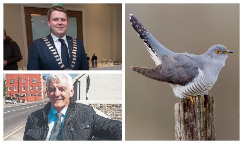 Seconds out for round two of 'cuckoo' roads row between Laois councillors