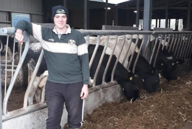 Meet the Laois finalist in FBD Young Farmer of the Year