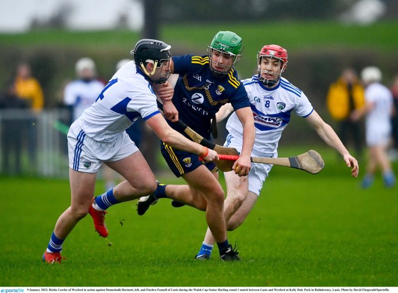Wexford the masters as Laois hurlers open 2022 with defeat