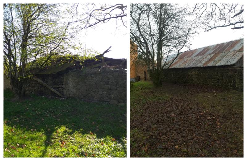 Historic Laois building rescued from collapse